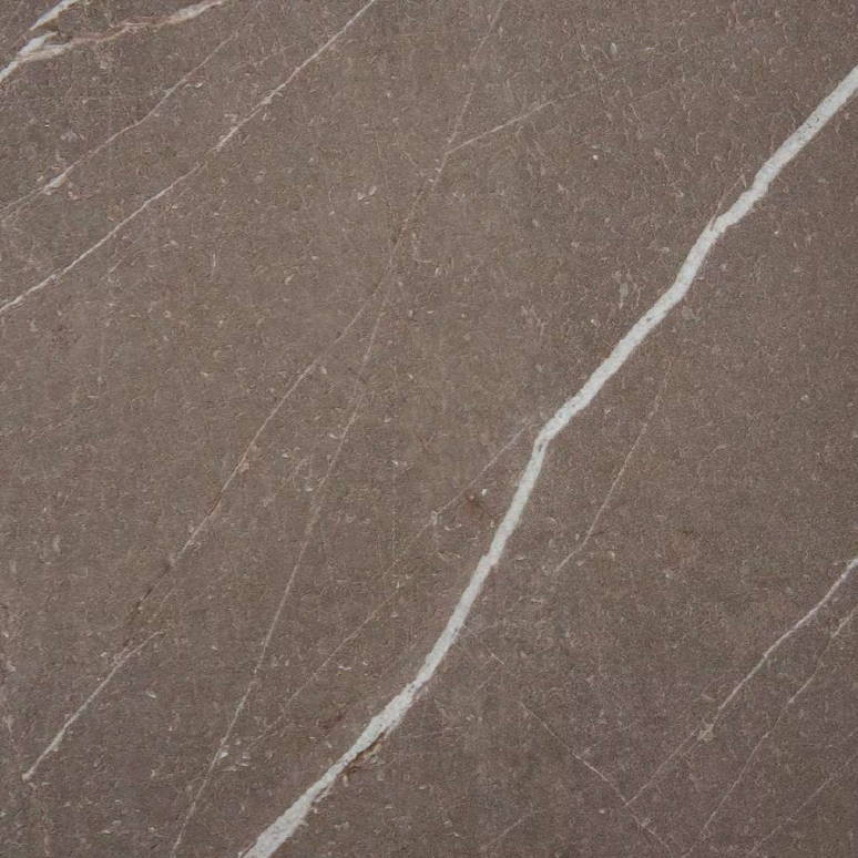 Светлый пульпис